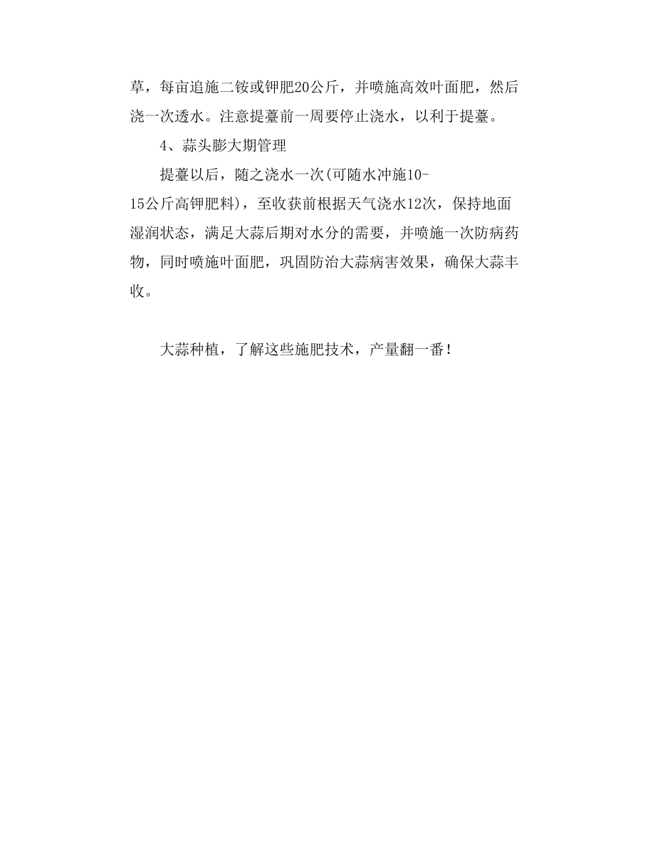 大蒜最新高产种植技术揭秘,小巷深处的农业探索之旅