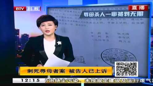 刺死辱母者事件最新动态,深度分析与个人观点观察