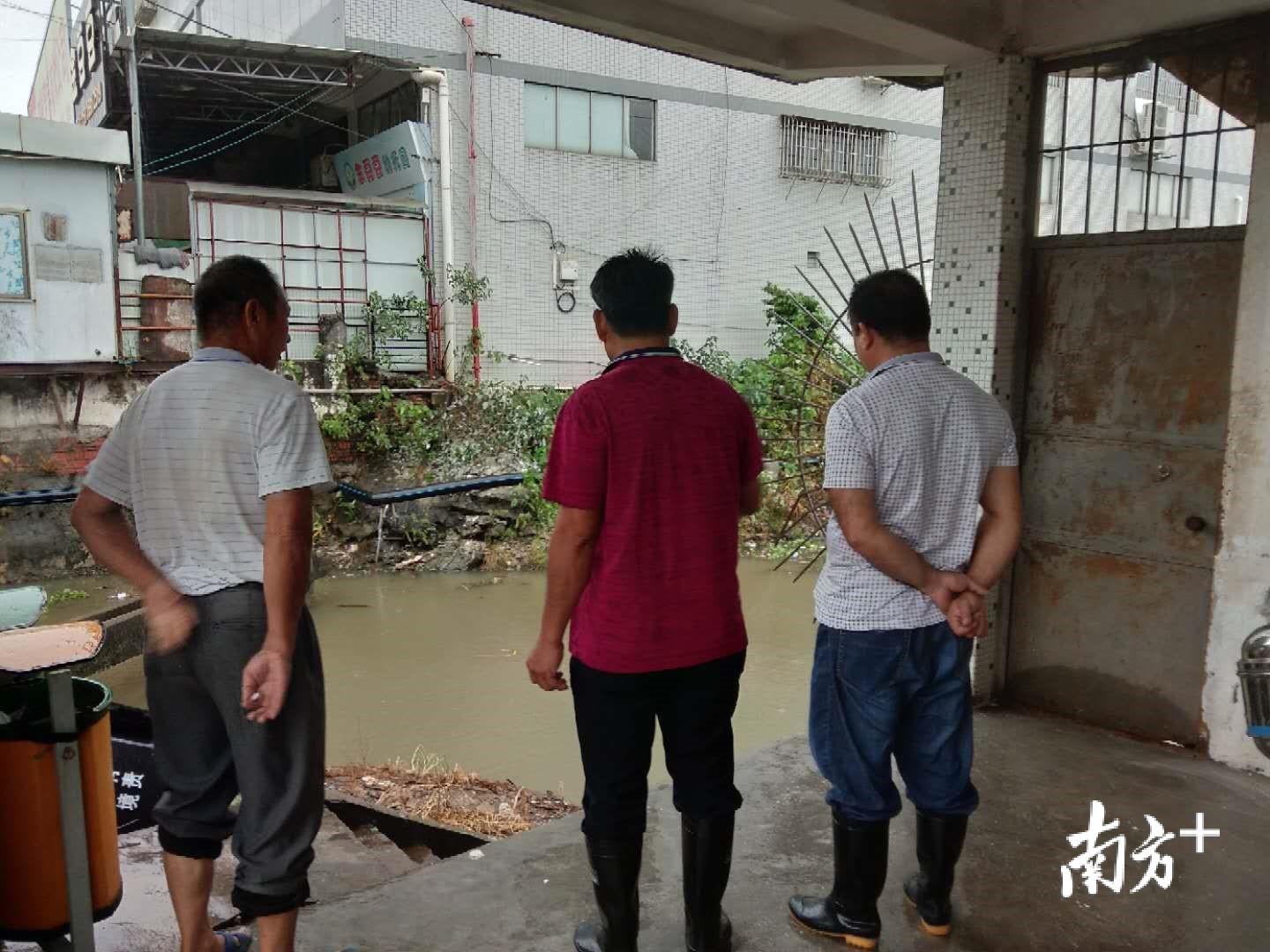 海高斯台风实时路径更新，密切关注，确保安全