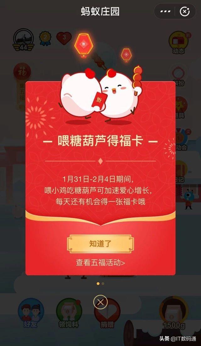 小鸡庄园最新今日答案及全解析揭秘