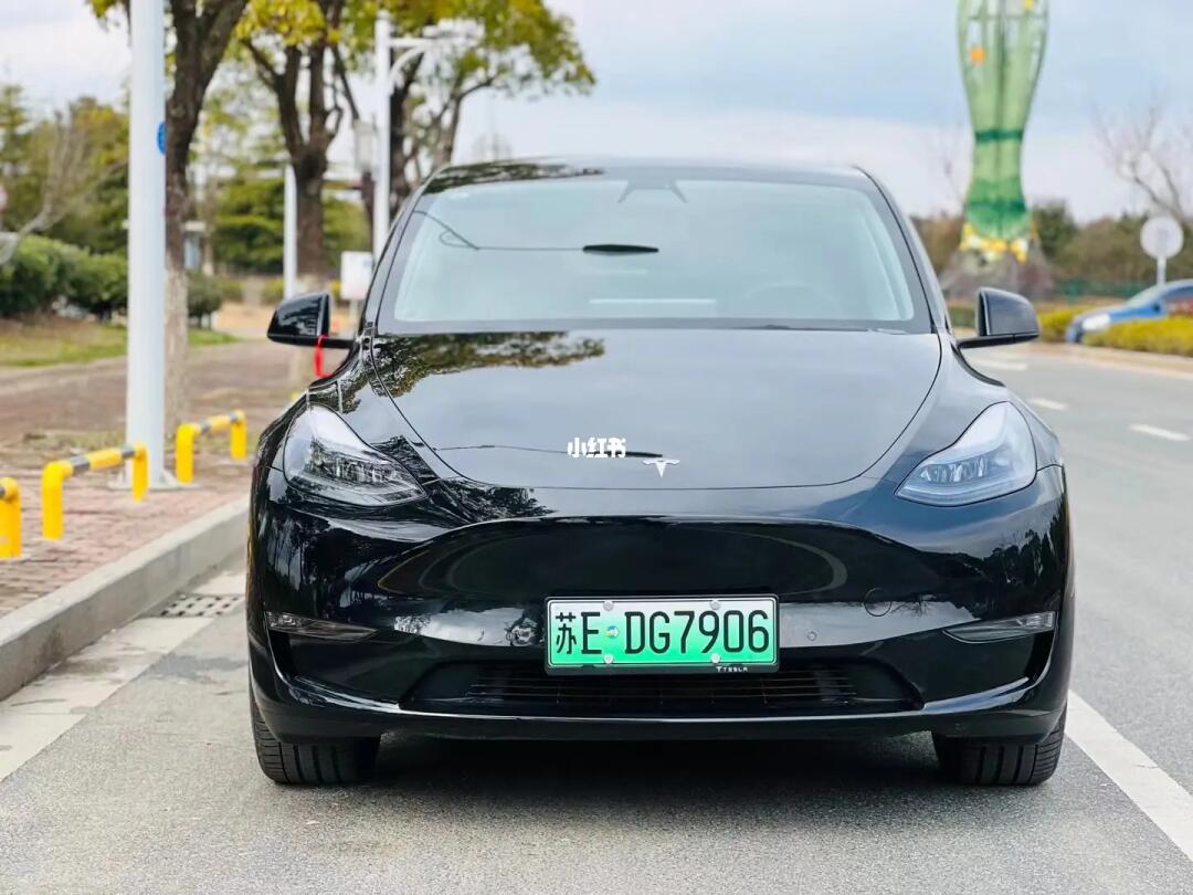 最新款特斯拉毛豆Y,科技旗舰,驾驭未来之梦