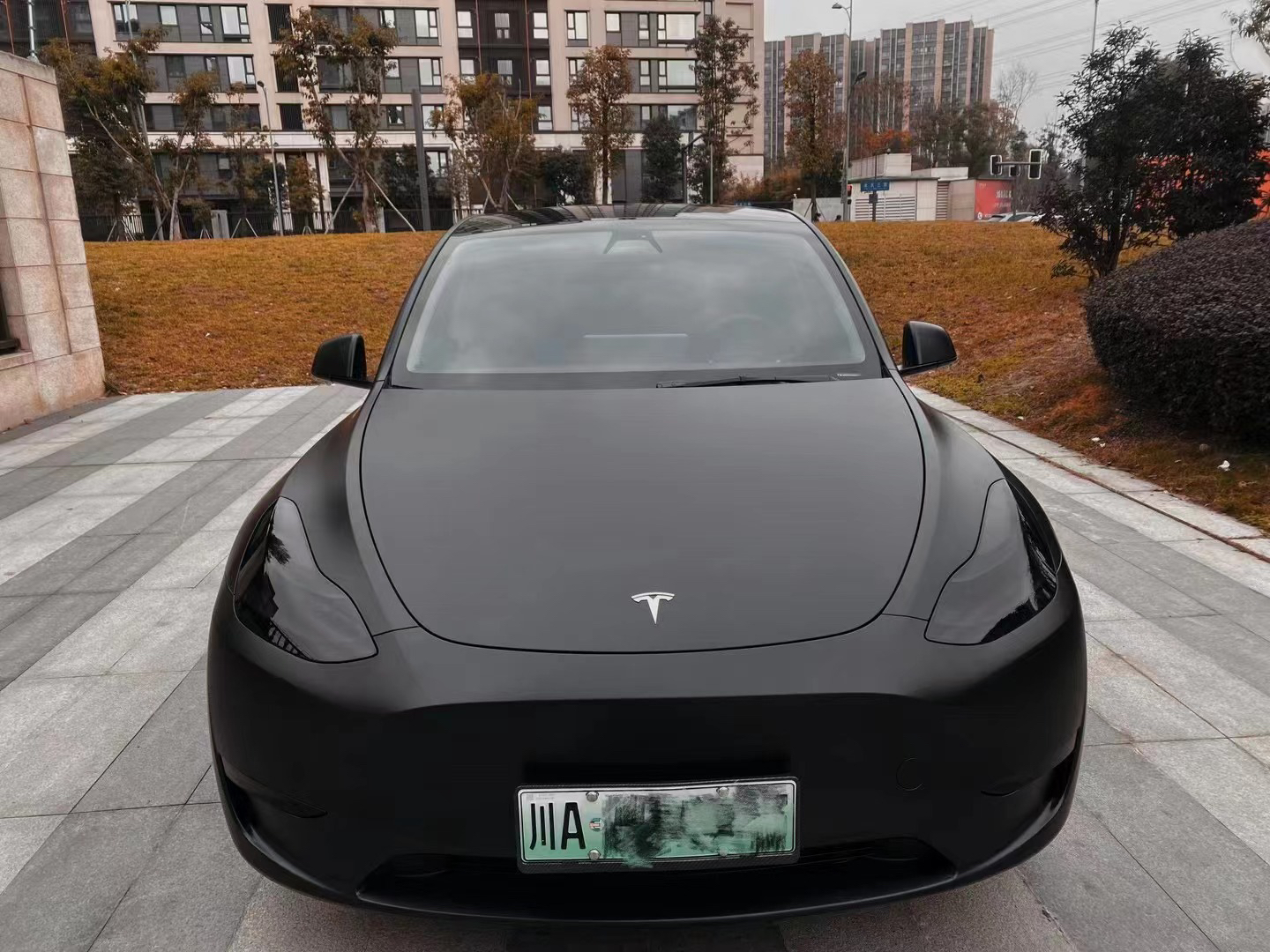 最新款特斯拉毛豆Y,科技旗舰,驾驭未来之梦