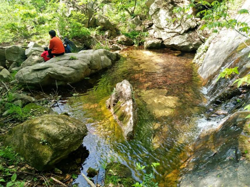 小村风月最新版，学习变化，自信铸就梦想之路