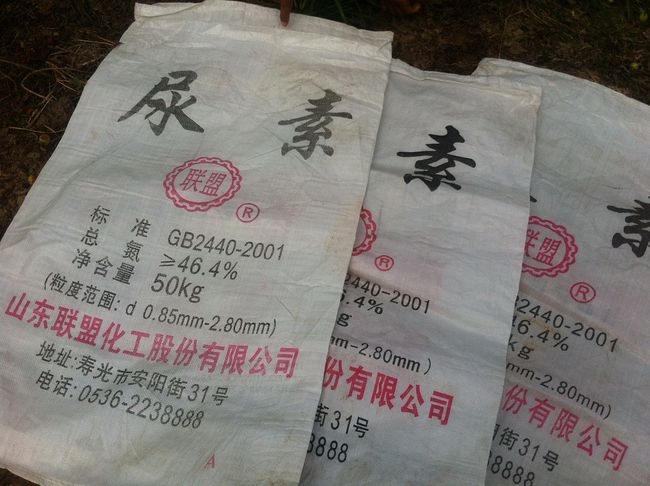 期货尿素最新动态,科技前沿助力,重塑未来展望!