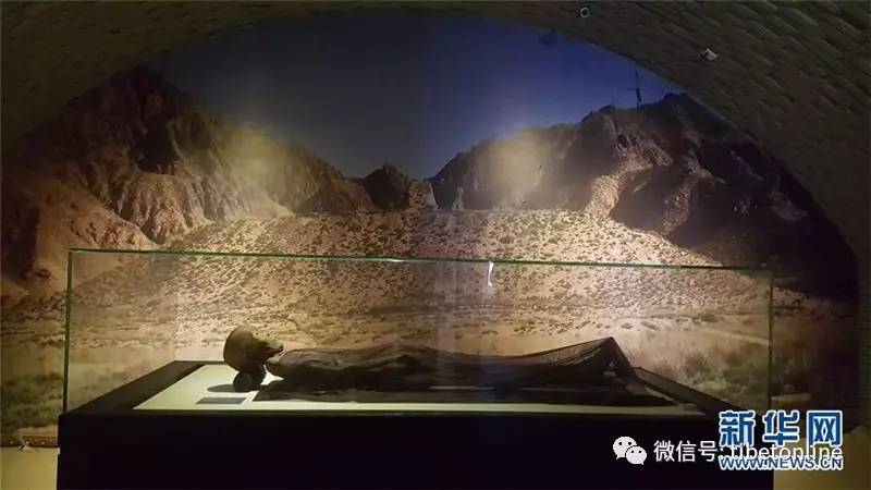 千尸镇,高科技革新之旅,未来生活新篇章体验