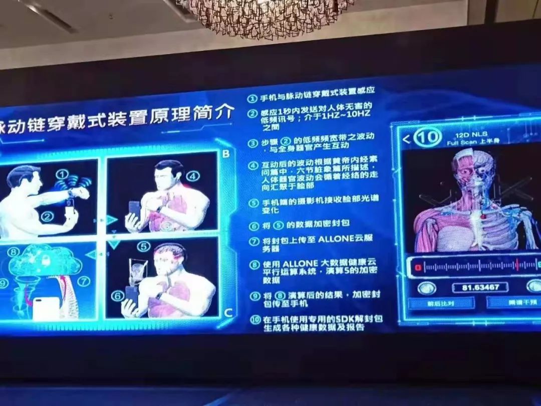 脉动链最新动态更新