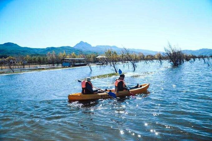 他达那非最新价格，市场走势及购买指南