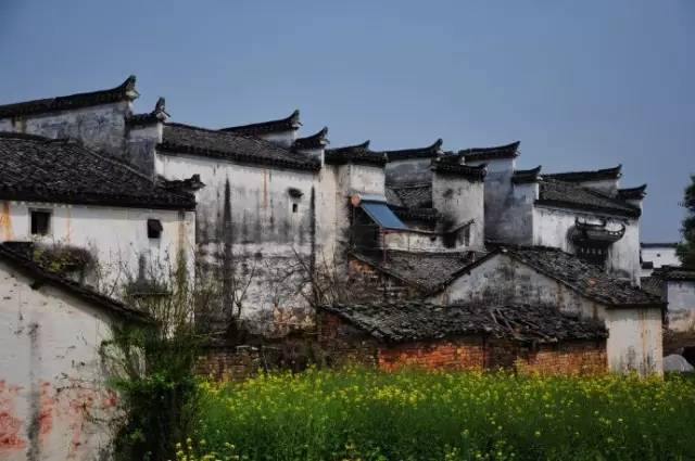 醉地最新地址，自然美景探索之旅的治愈之旅