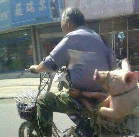 最新泰州按摩新潮文化探索,敲背吧的魅力与风尚