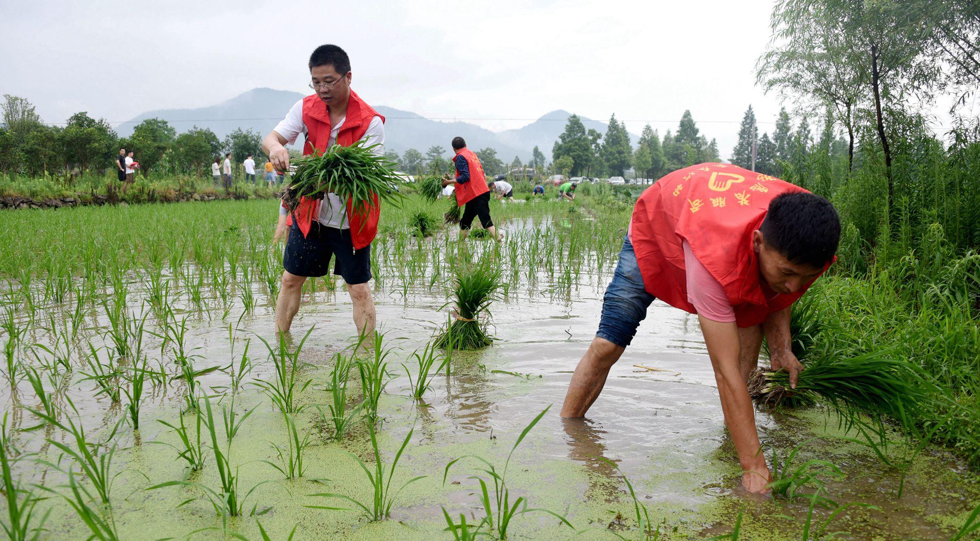 高科技时代之光，官路人心引领未来生活新潮的最新章节