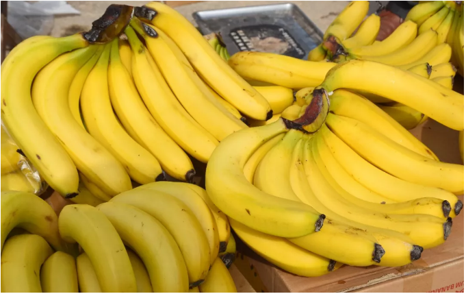 建议，学习变化之果，精品香蕉在线观看带来的自信与成就种子