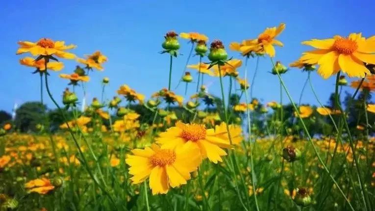 服务案例 第52页