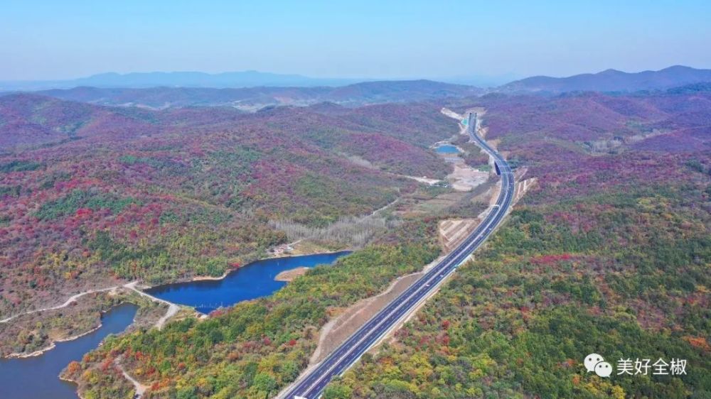 滁州全椒最新动态更新