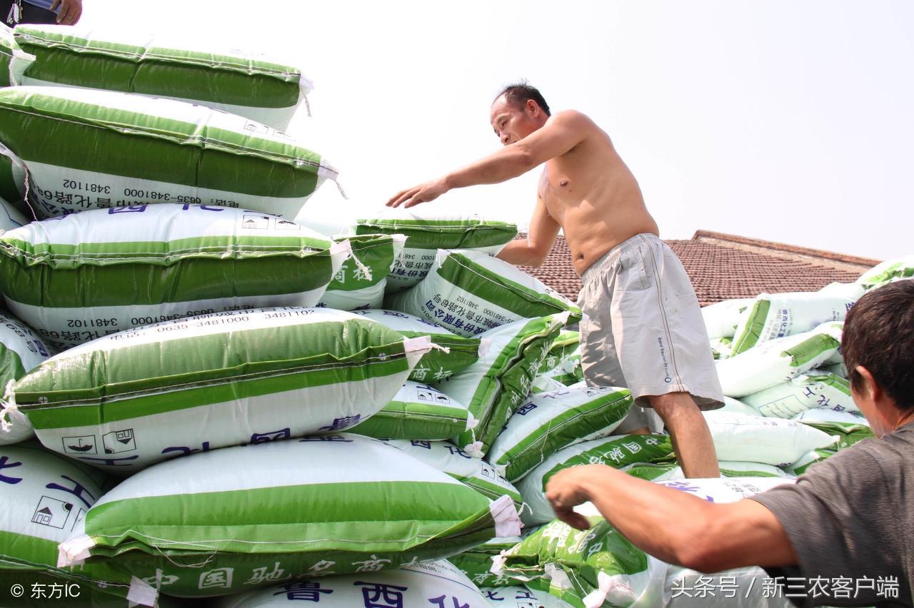 磷矿石最新价格走势,市场分析与影响因素探讨