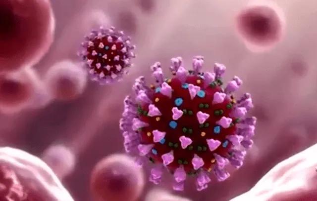 中国最新新冠病毒报告深度解读与分析，权威解读版