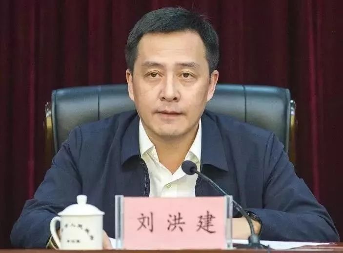 李红云最新动态,技能提升与任务完成指南