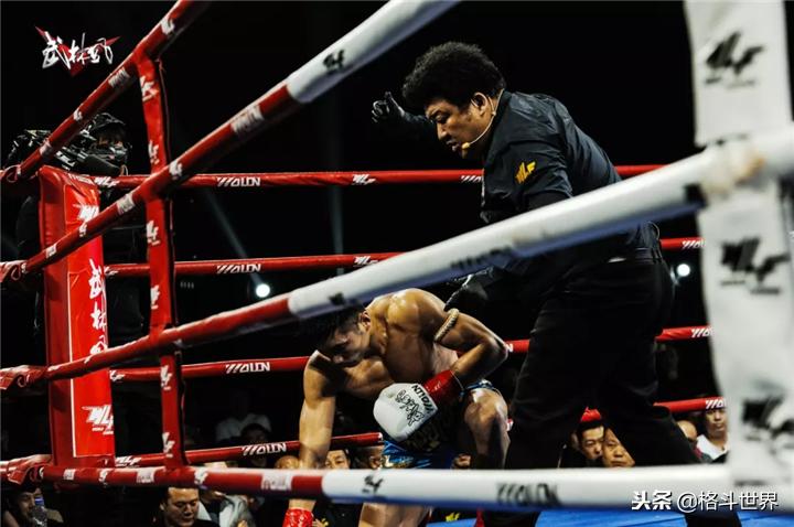 付高峰武林风最新比赛,实力展现与个人立场分析观察