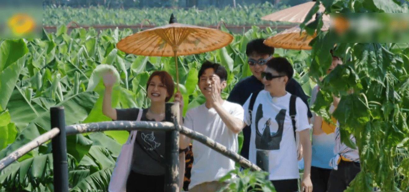 向往的生活4最新动态,揭开神秘面纱,探寻节目新动向