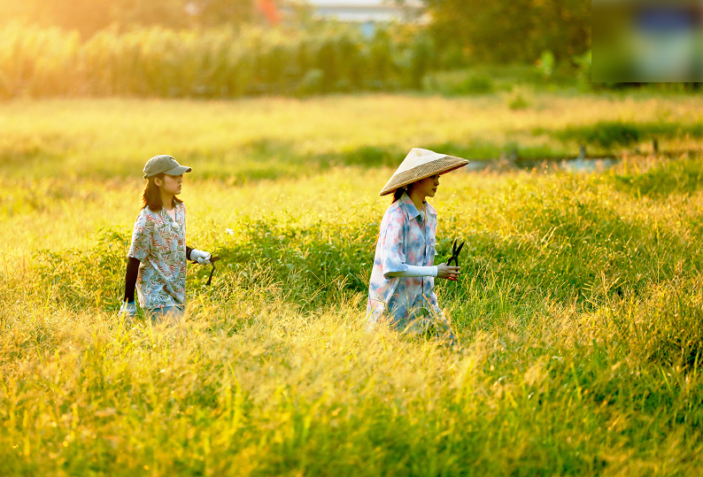 向往的生活4最新动态,揭开神秘面纱,探寻节目新动向