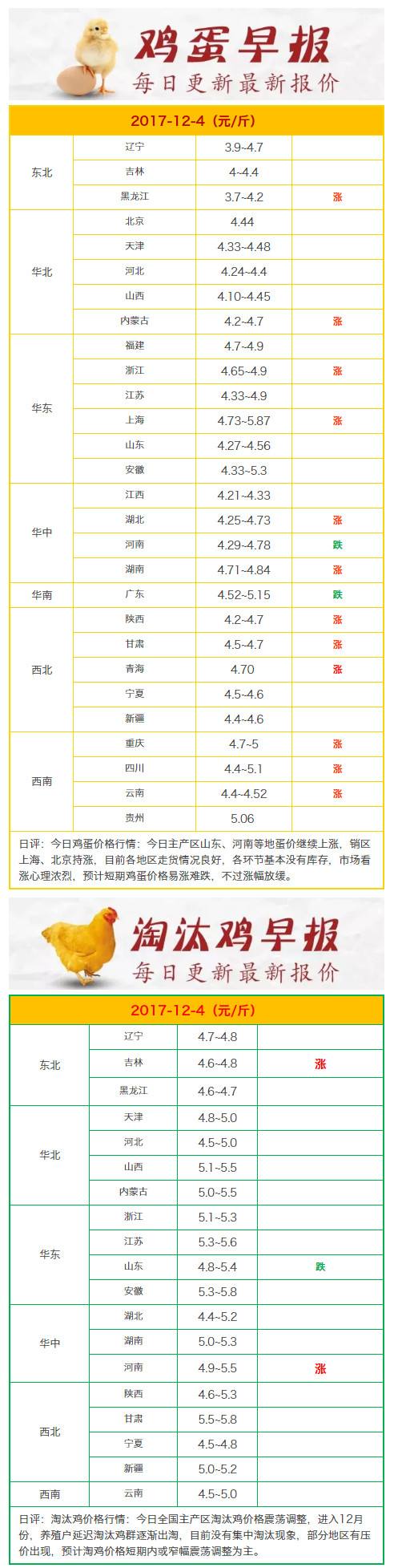 今日西安鸡蛋价格,时代观察与市场的微妙脉动