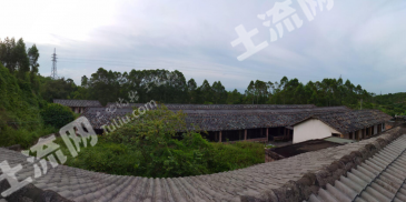 广西养殖业蓬勃发展,最新发展动态与消息速递