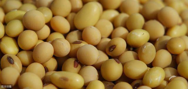 最新进口大豆价格及分析,揭示影响因素与动态趋势