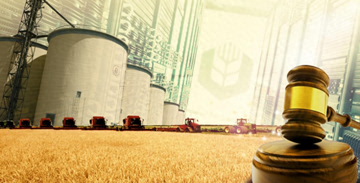 全球瞩目！进口大豆最新价格揭示智慧农业新时代趋势