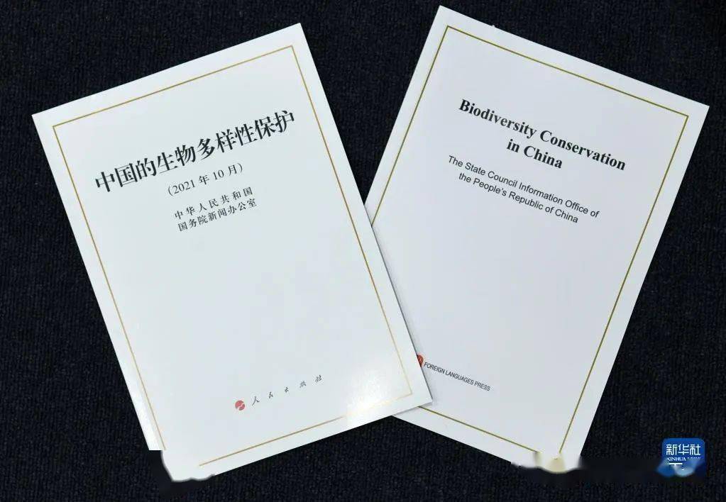 中国最新白皮书,高科技产品革新之旅,开启未来生活新篇章