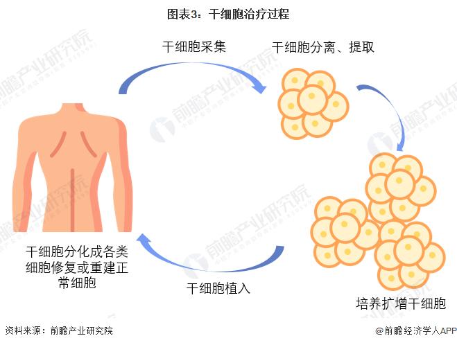 青春期宫血最新治疗方法，寻求内心平静的美丽旅程