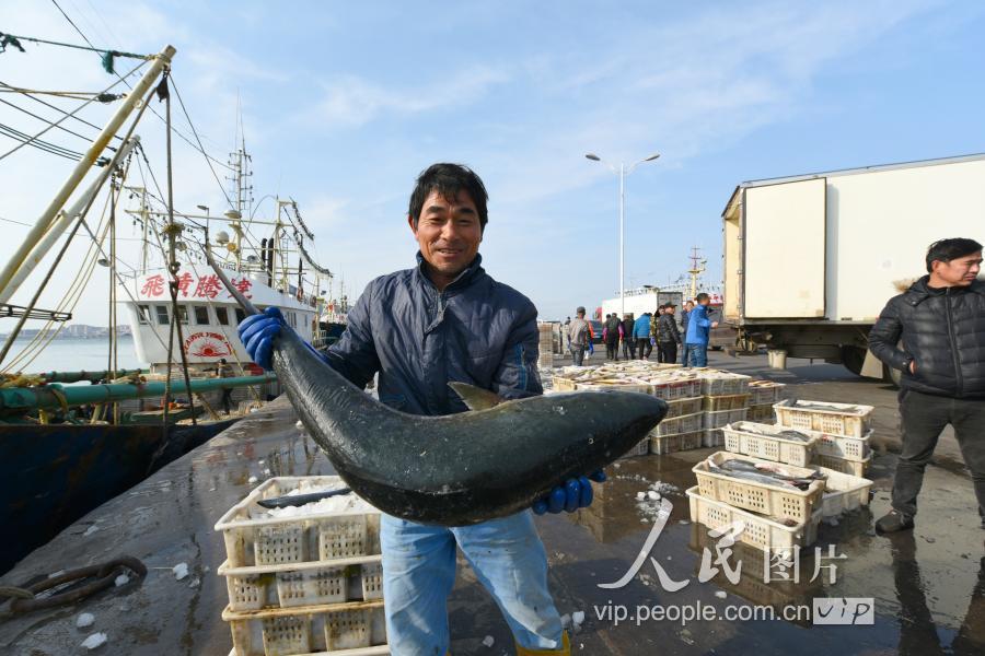 荣城信息港最新招聘启航，启程探索自然美景与职业之旅