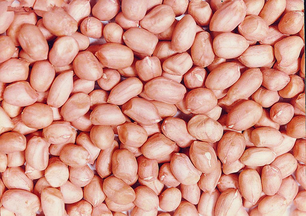 三井子最新花生价格获取指南，实时了解花生市场动态