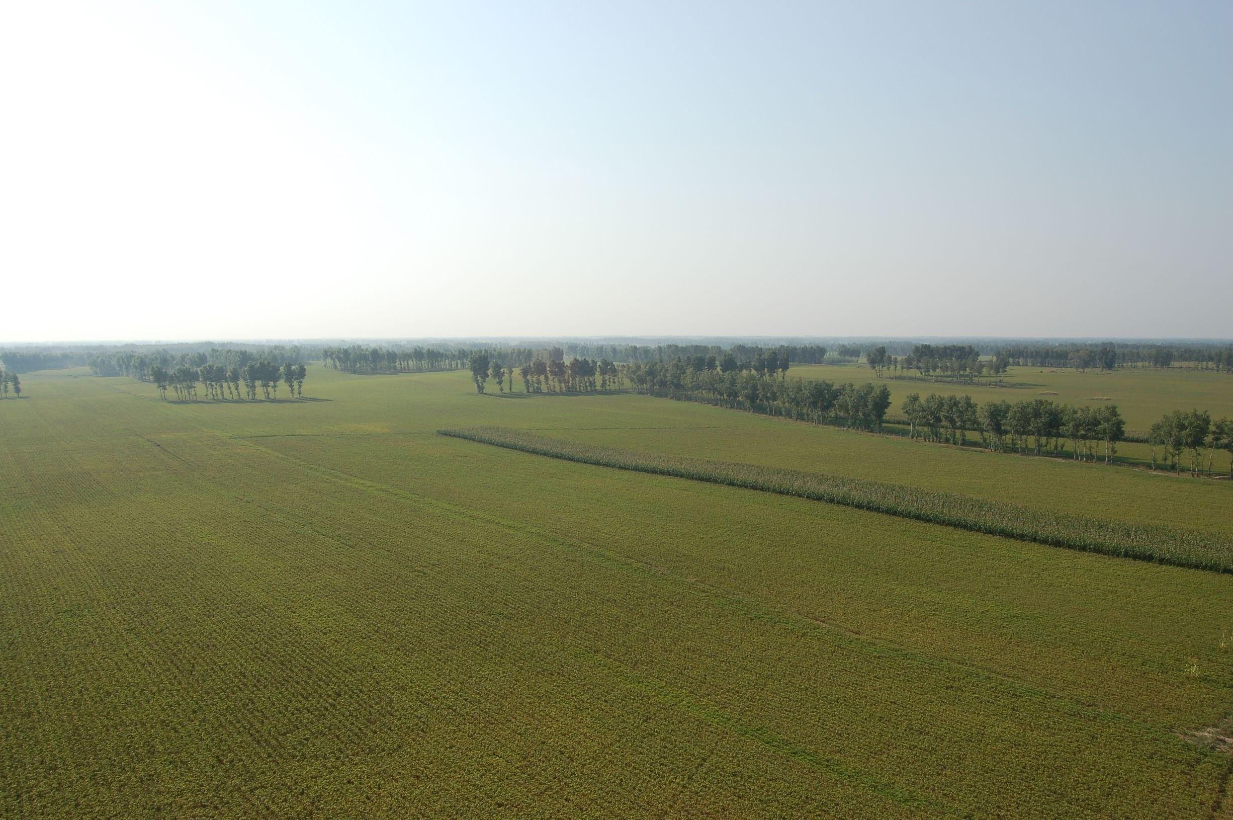 三井子最新花生价格获取指南,实时了解花生市场动态