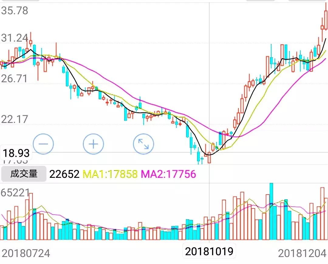 宁波上市公司最新名单,时代的引领者