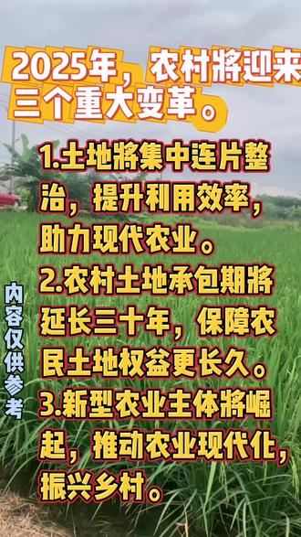 红英农业最新动态,崛起与影响展望至2025年