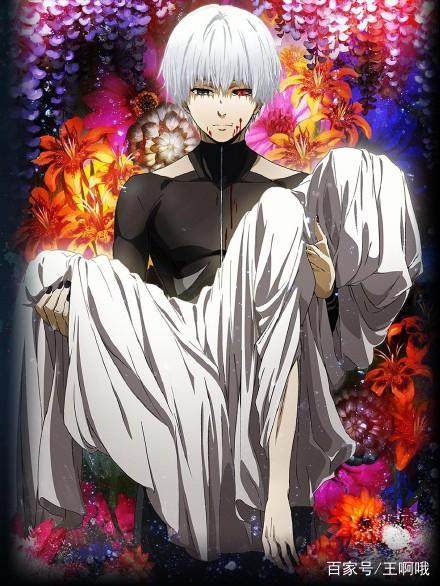 金木双青最新动态揭秘，揭开神秘面纱下的真相