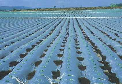 农用地膜最新国家标准，与自然美景和谐共融的轻松之旅