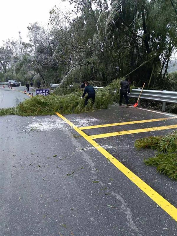 十竹公路最新进展及观点论述综述