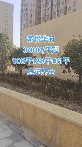 项城紫悦华府最新动态深度分析与个人观点分享