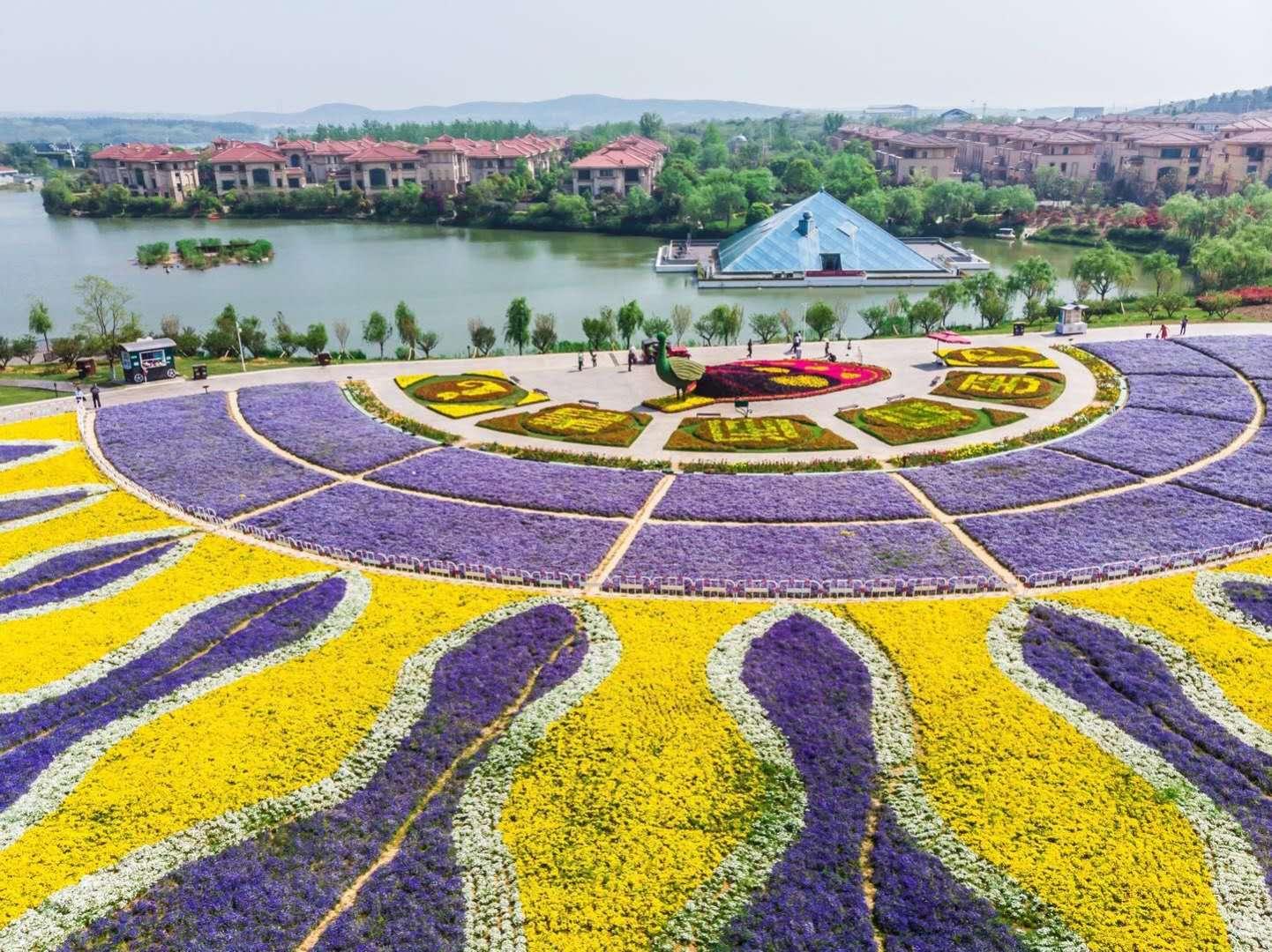 长合高速2025最新动态,详细步骤指南与最新消息速递