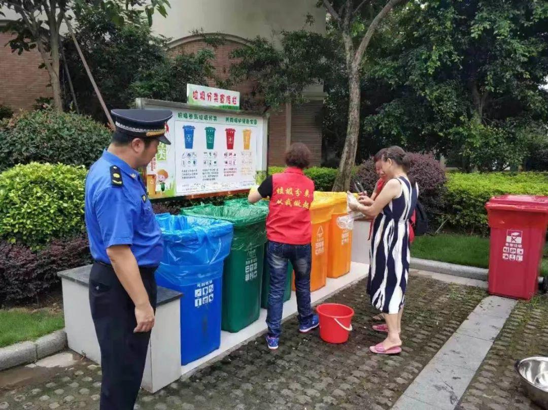 城市建筑垃圾管理规定最新版解读与概述