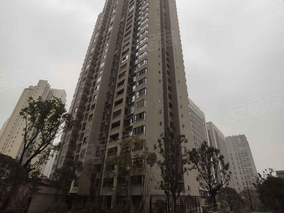 南川新壹城最新消息与步骤指南