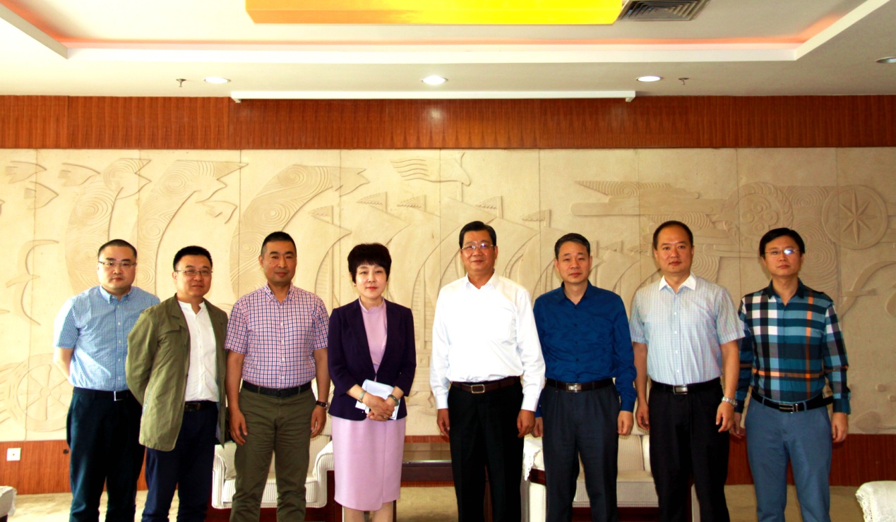 孙茵梦想小镇的未来蓝图与发展动态最新消息