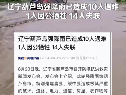 岫岩洪灾瞒报最新动态及应对防范指南(初学者与进阶用户必读)