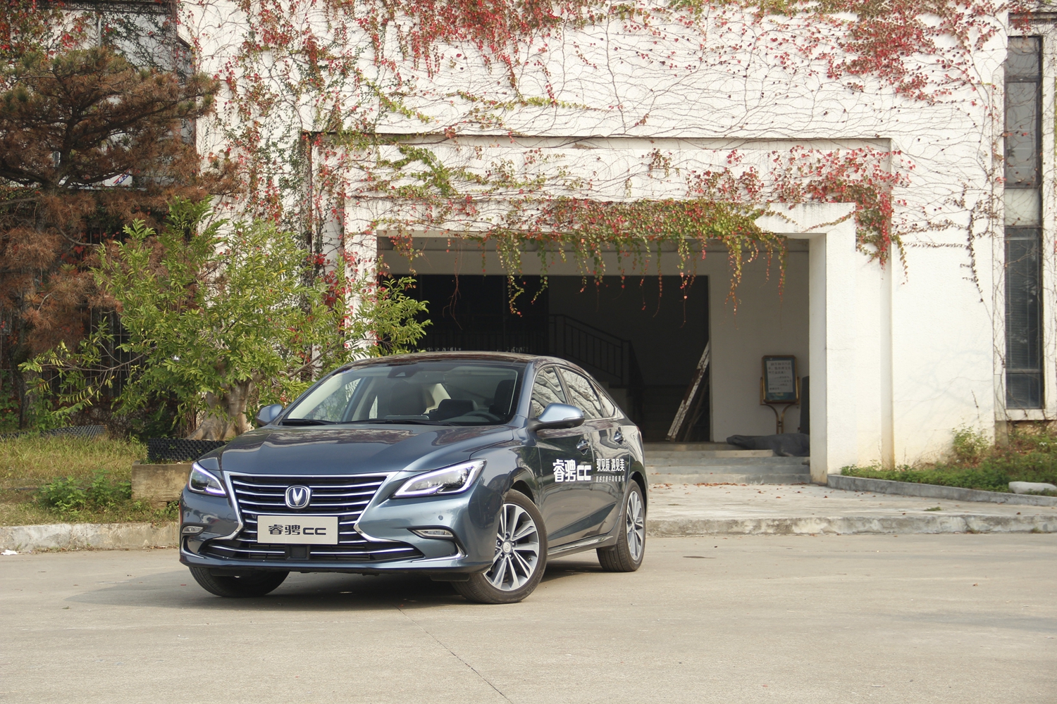 长安睿聘CC最新动态更新