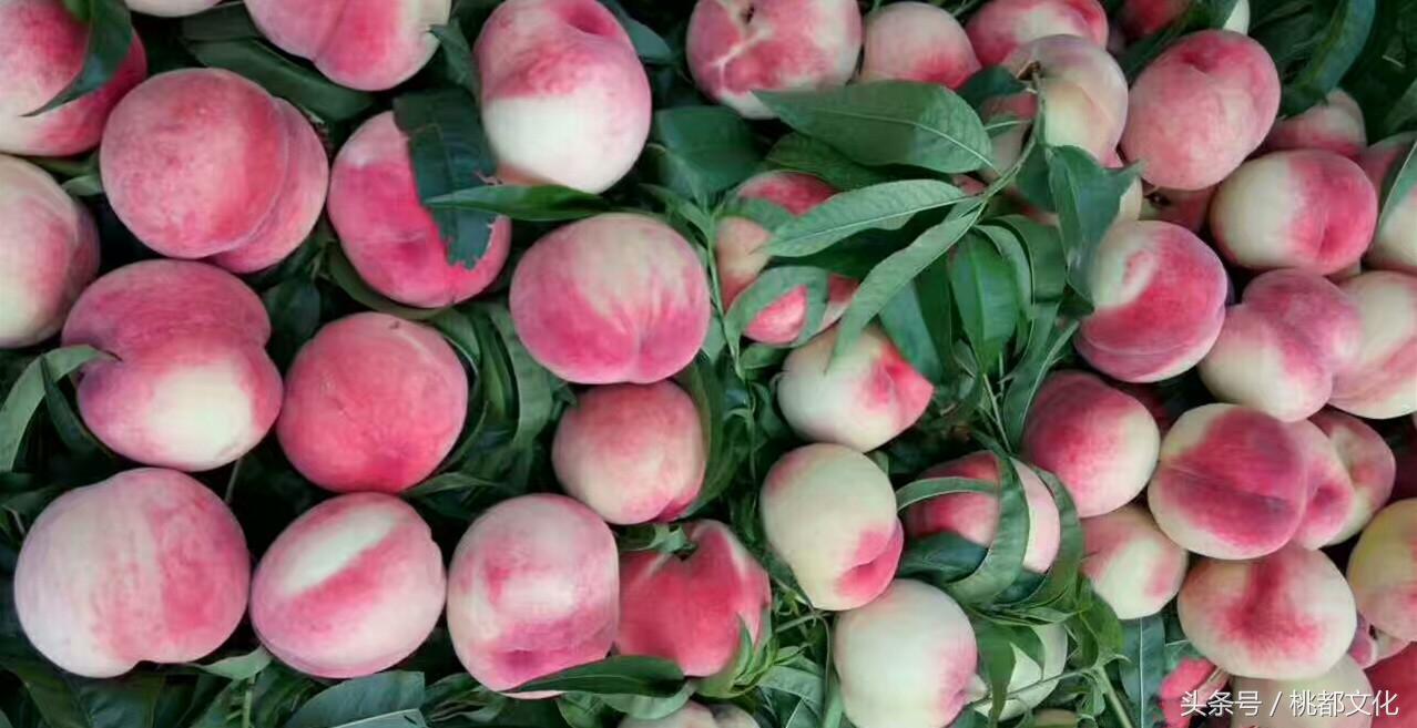 飞域电影院最新放映表,科技之光引领观影新体验