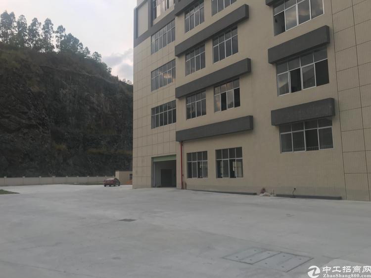 甘旗卡最新房屋温馨出租日常