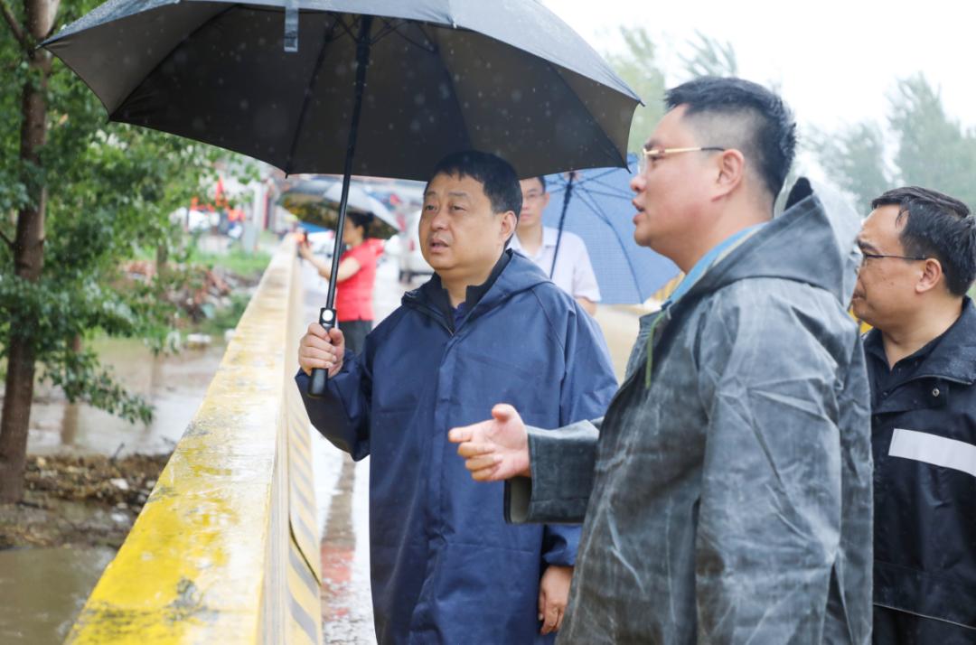 孟州白墙水库最新鱼情揭秘，鱼跃人欢，感受学习与变化的魅力