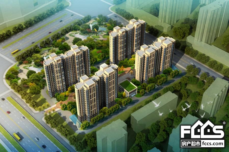 郑州东岸尚景最新消息揭秘,日常动态与温馨瞬间