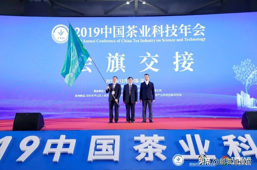 坪山茶业最新消息更新公告