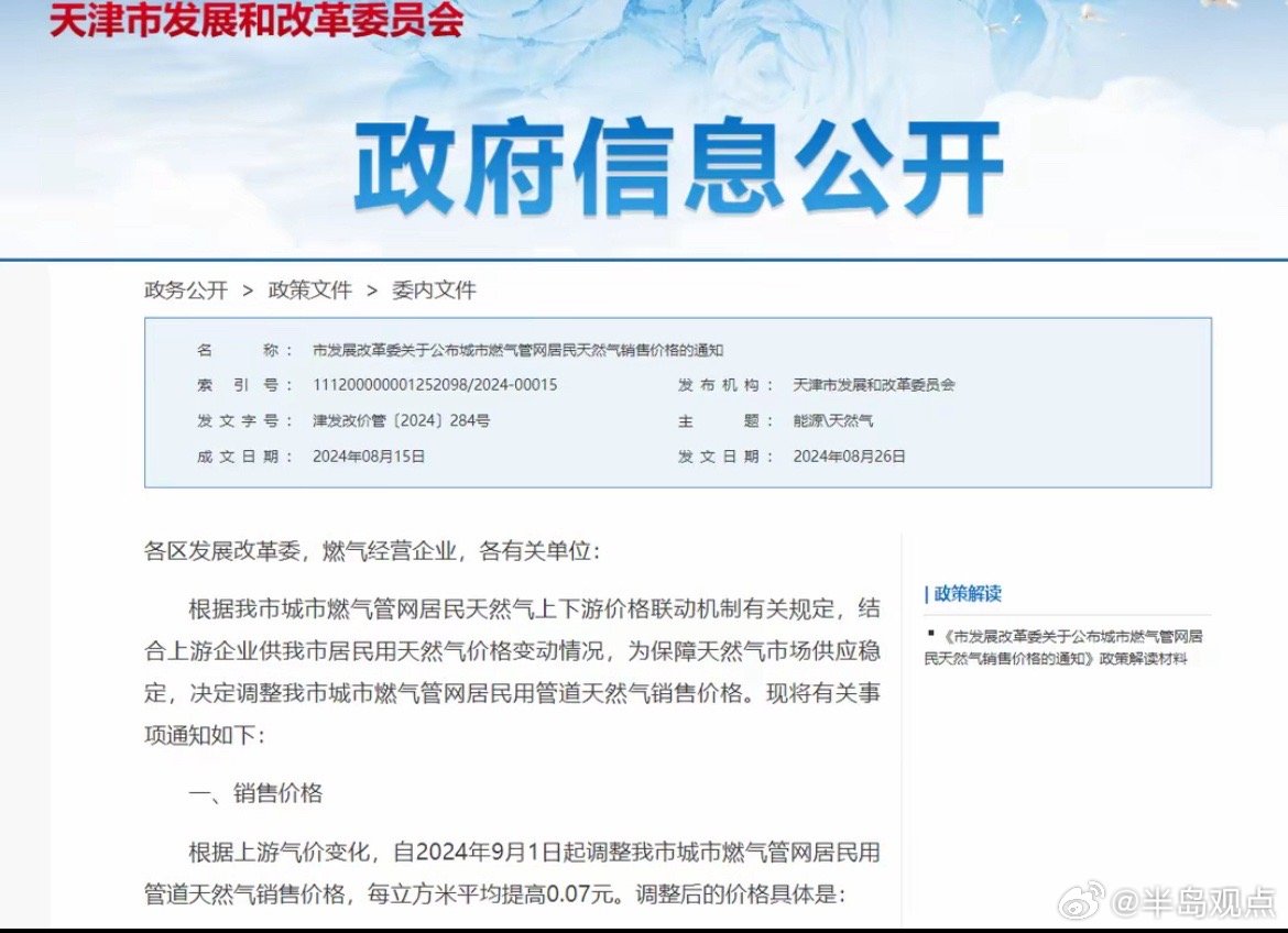 发改委天然气最新动态，科技助力绿色能源转型，智能系统重塑未来能源体验